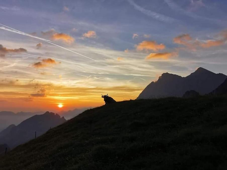 Alpenperle Leilighet Isenthal Eksteriør bilde